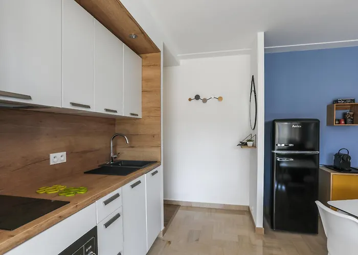 Superbe Appartement Avec Terrasse Et Parking Antibes Antibes